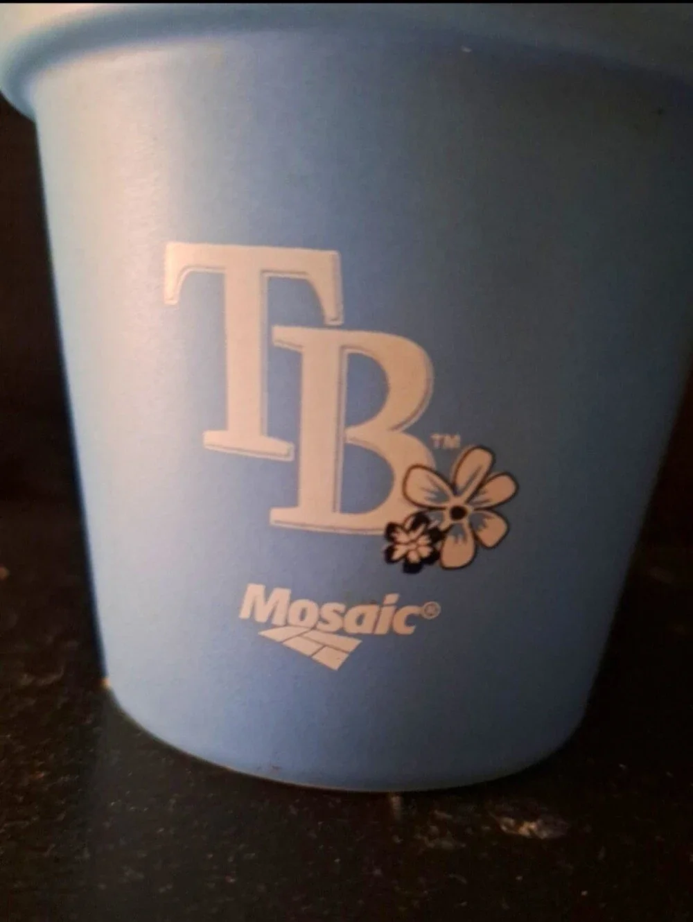 Tamoa Bay Rays Small Flower Pot/Accent Piece